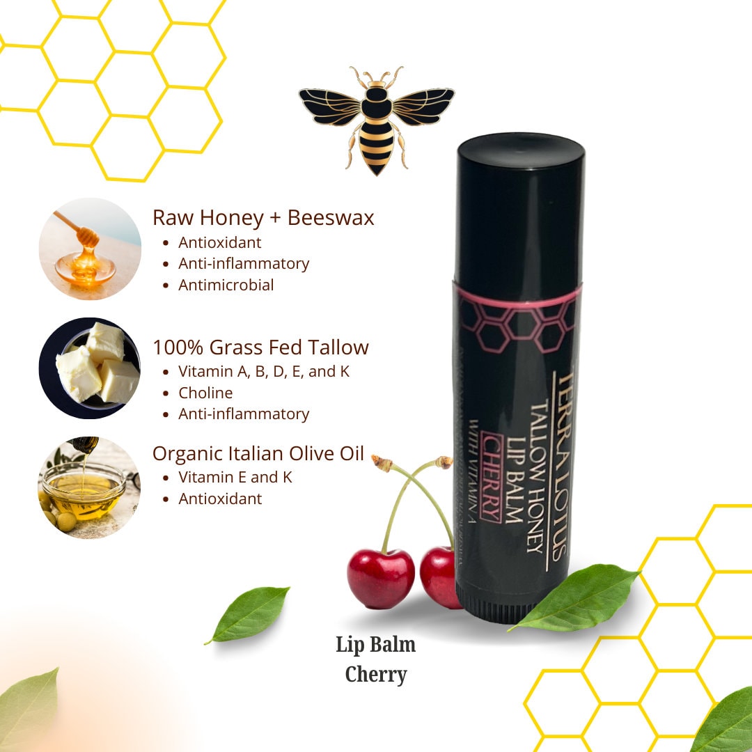 Honey Tallow Lip Balm (Pack of 5)
