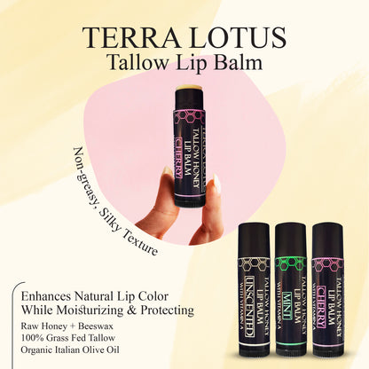 Organic Tallow Lip Balm (Pack of 5)