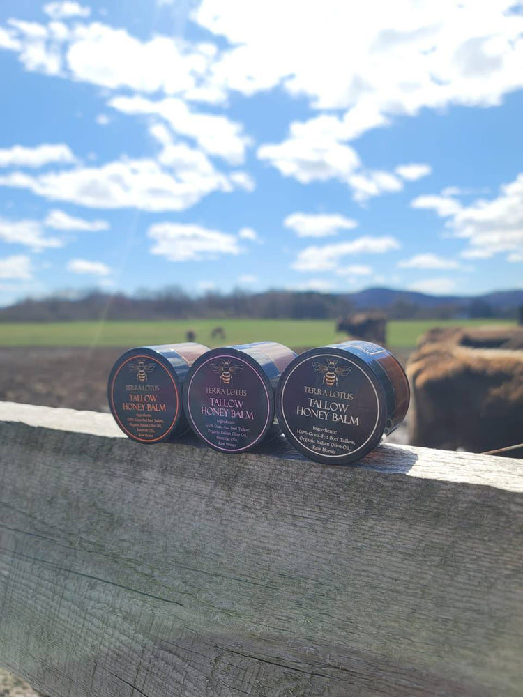 terralotus-terra-lotus