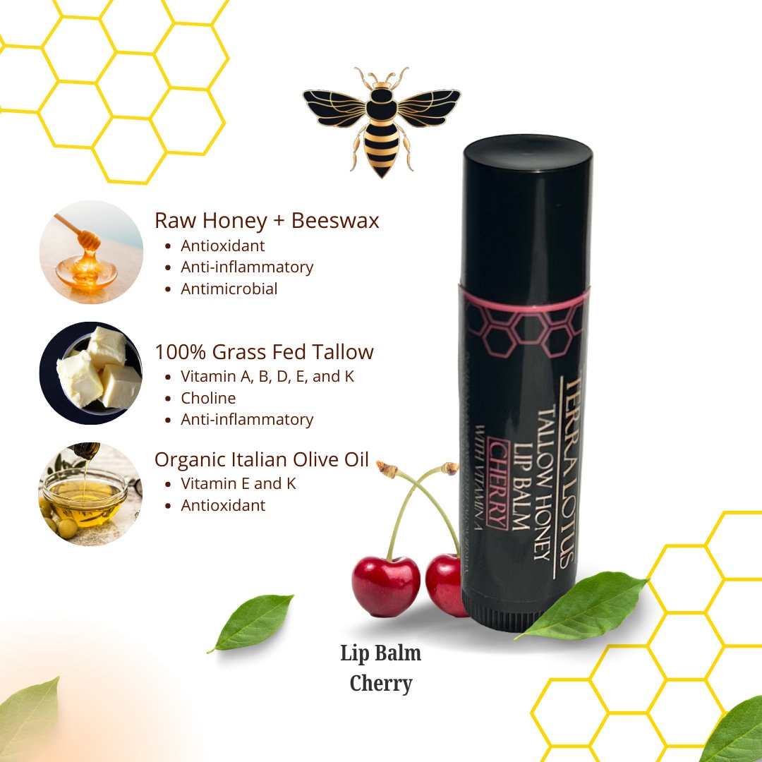 Honey Tallow Lip Balm, Cherry Scented (pack of 3)